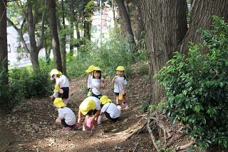 akane13057.jpg